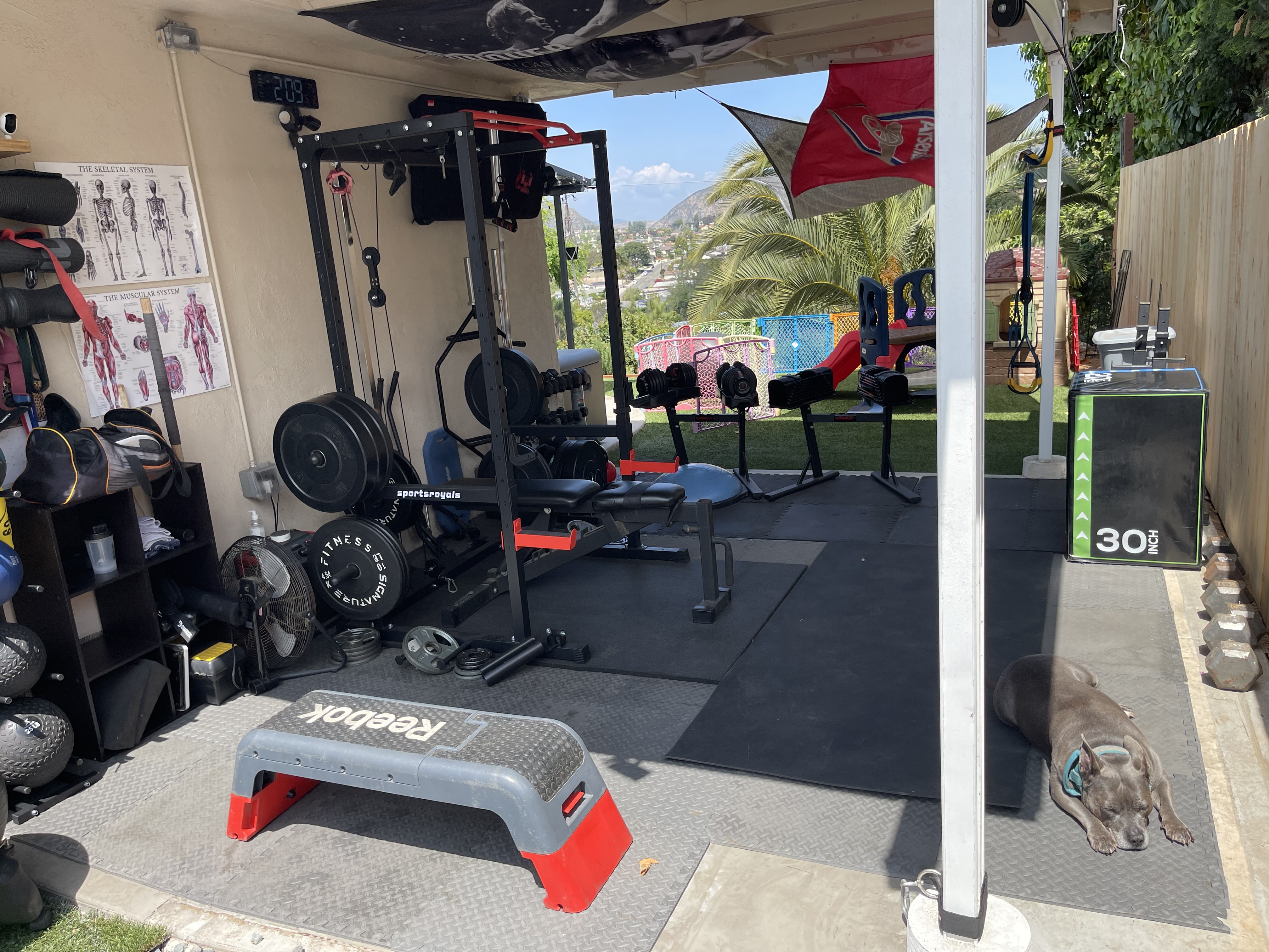 Gym Area 1