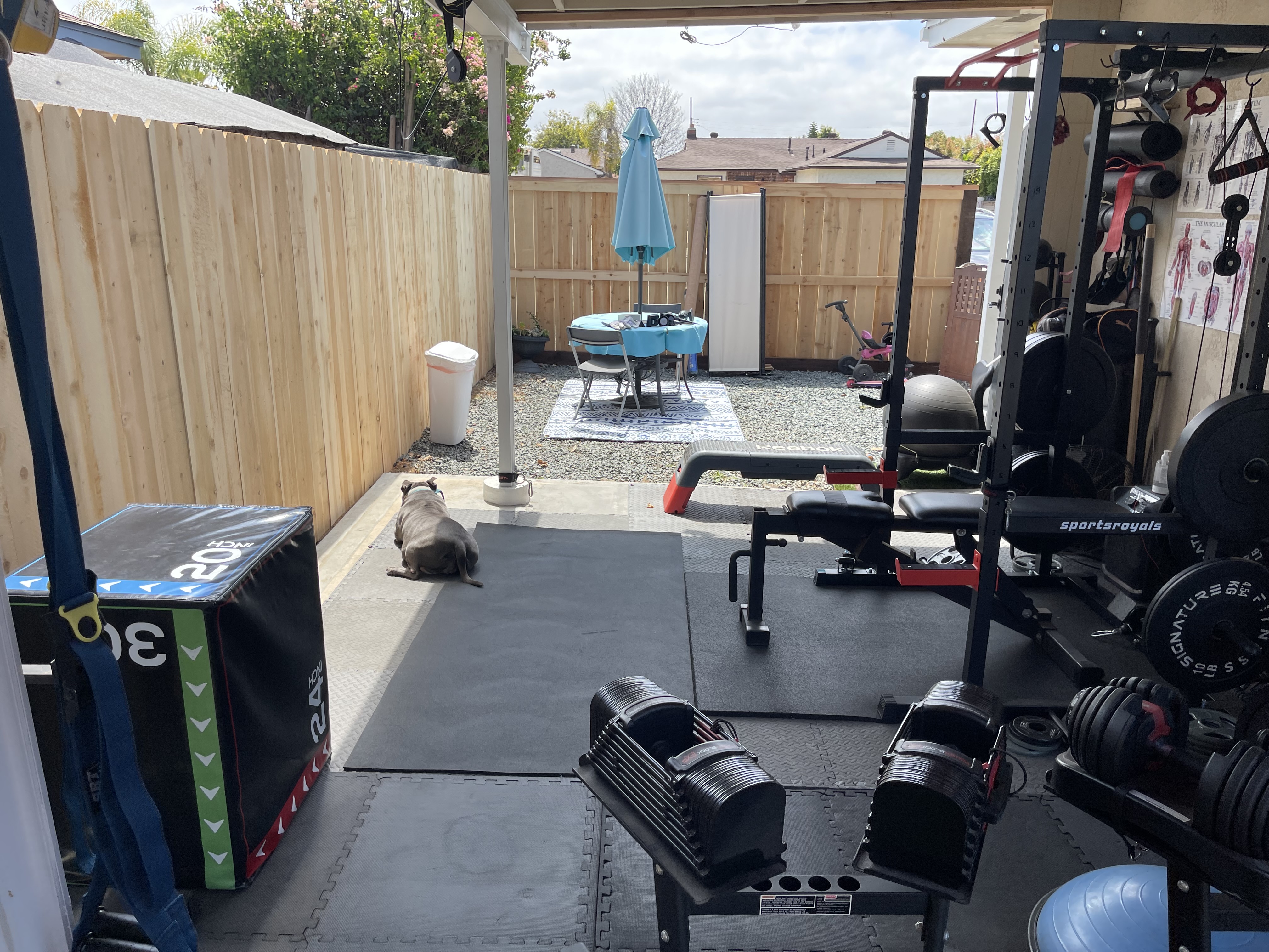 Gym Area 3